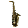 Alto Saxophone Set D7642