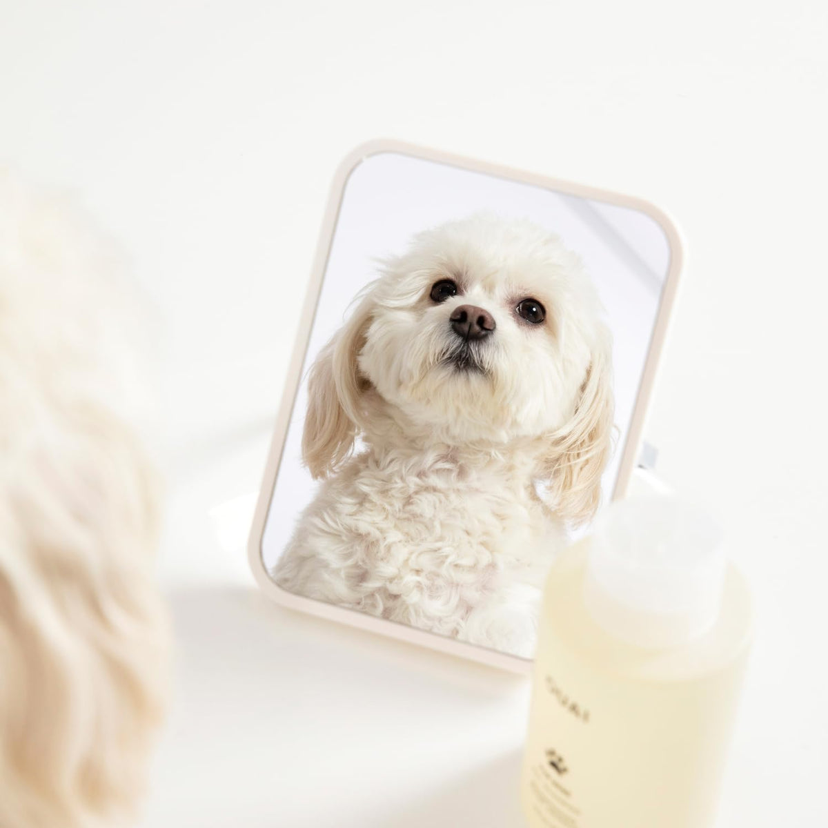 Pet Shampoo 16 Fl oz C201