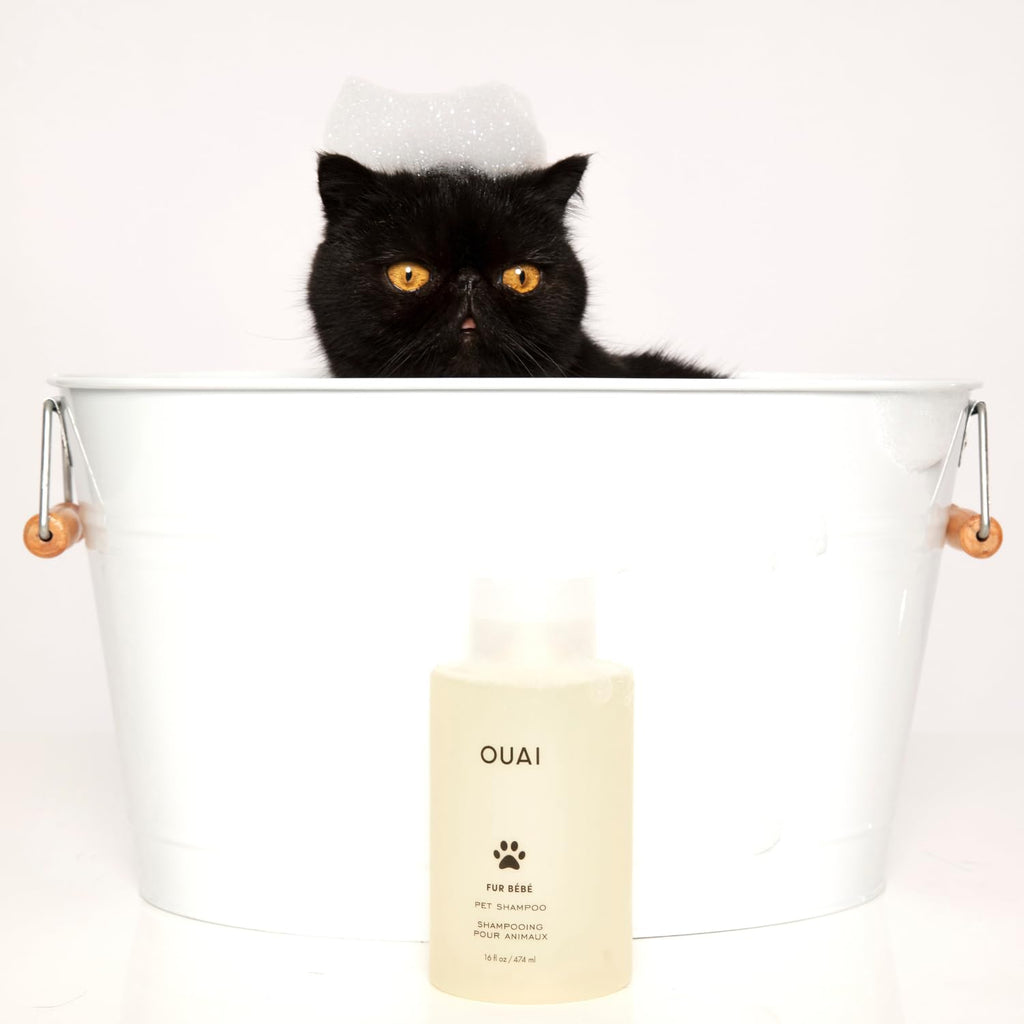 Pet Shampoo 16 Fl oz C201