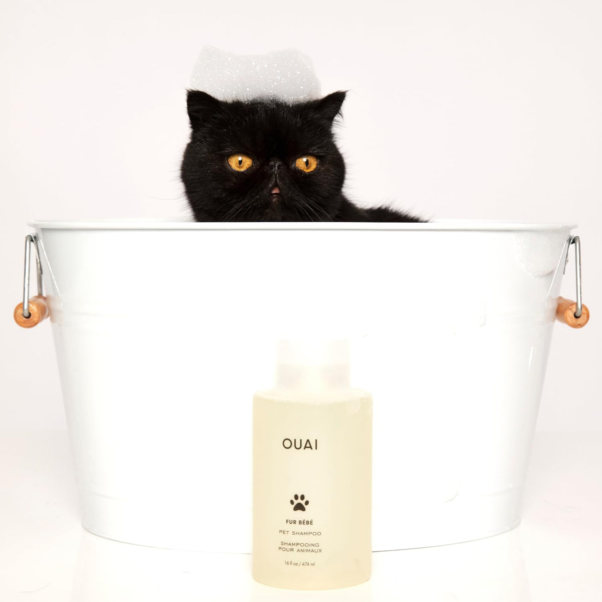 Pet Shampoo 16 Fl oz C201