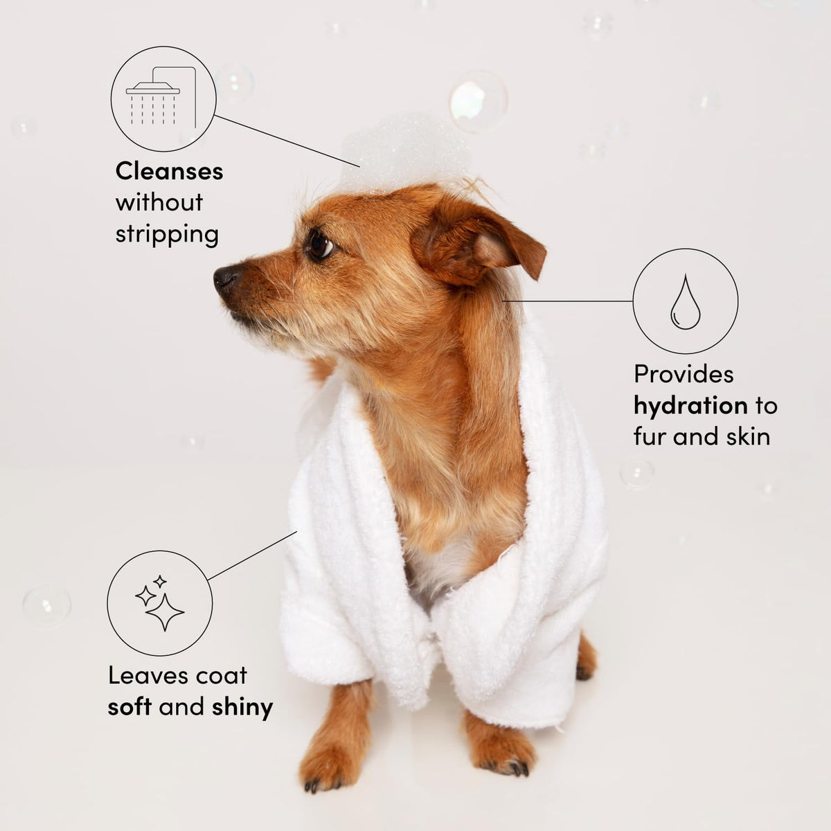 Pet Shampoo 16 Fl oz C201