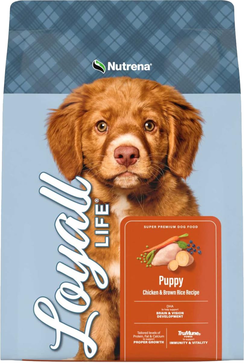 Chicken & Brown Rice Puppy Food 6 Pounds N164006
