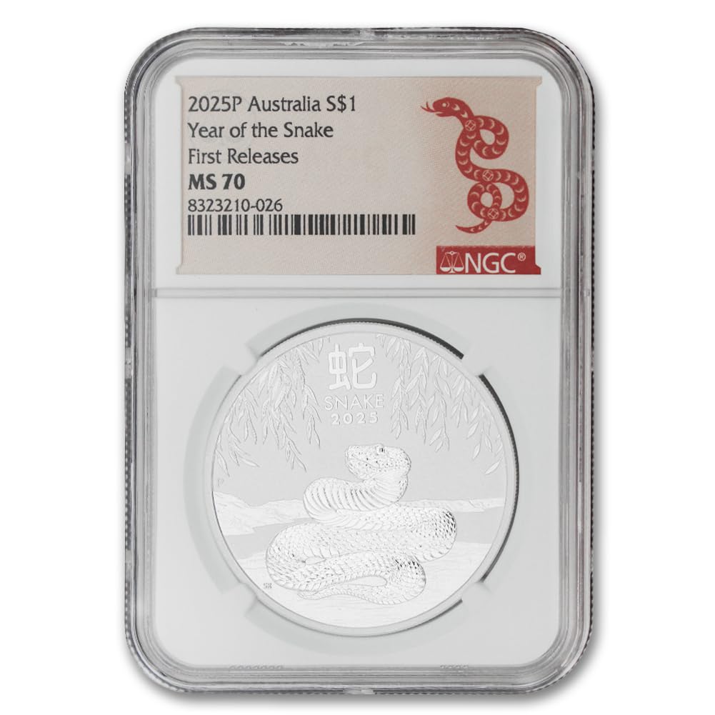 1 oz Silver Year of the Snake Coin Q563787