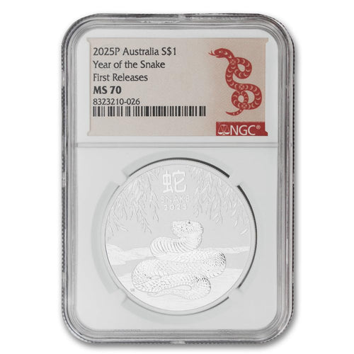 1 oz Silver Year of the Snake Coin Q563787