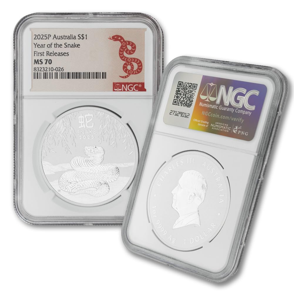 1 oz Silver Year of the Snake Coin Q563787