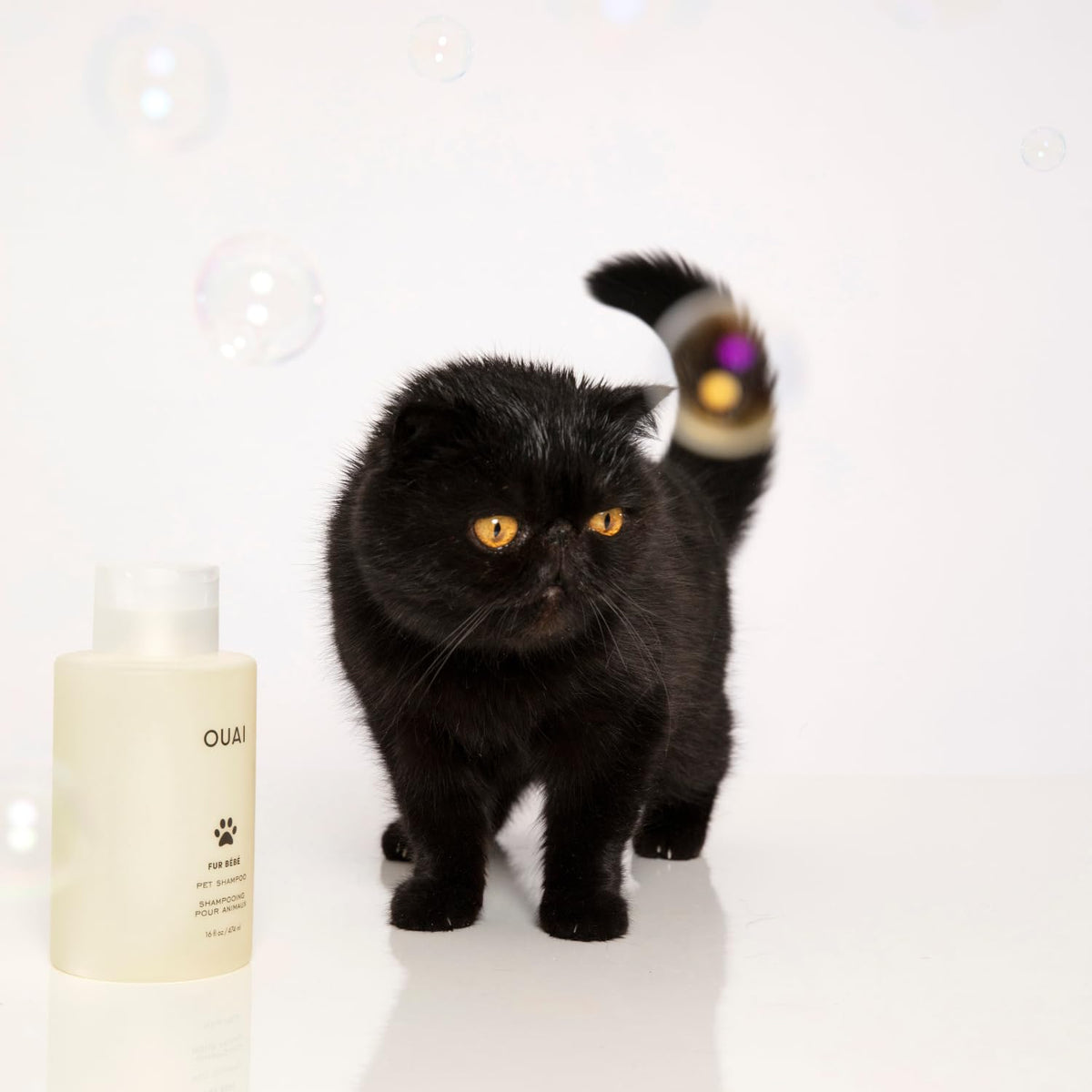 Pet Shampoo 16 Fl oz C201