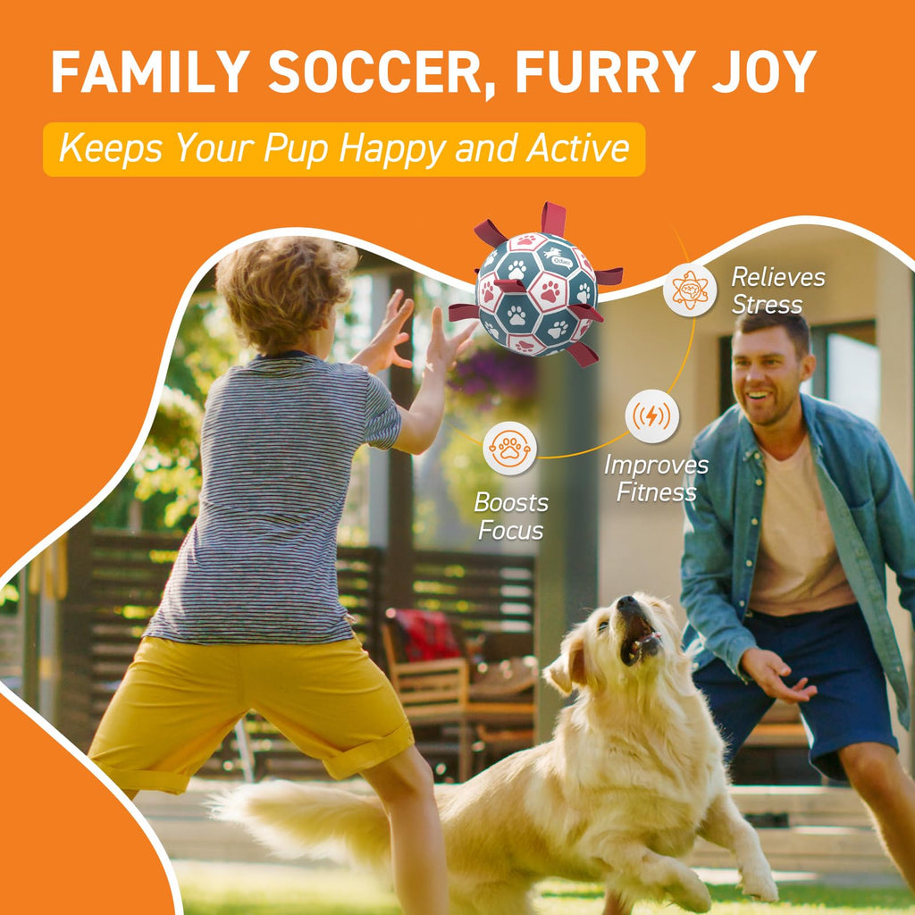 6 Inch Dog Soccer Ball with Straps Q636787