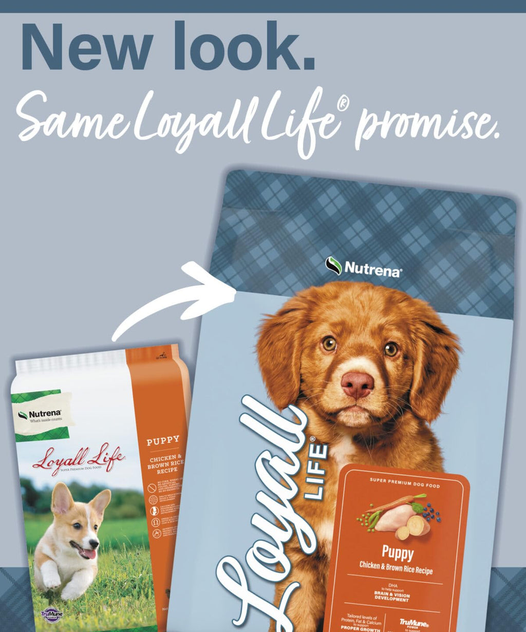 Chicken & Brown Rice Puppy Food 6 Pounds N164006