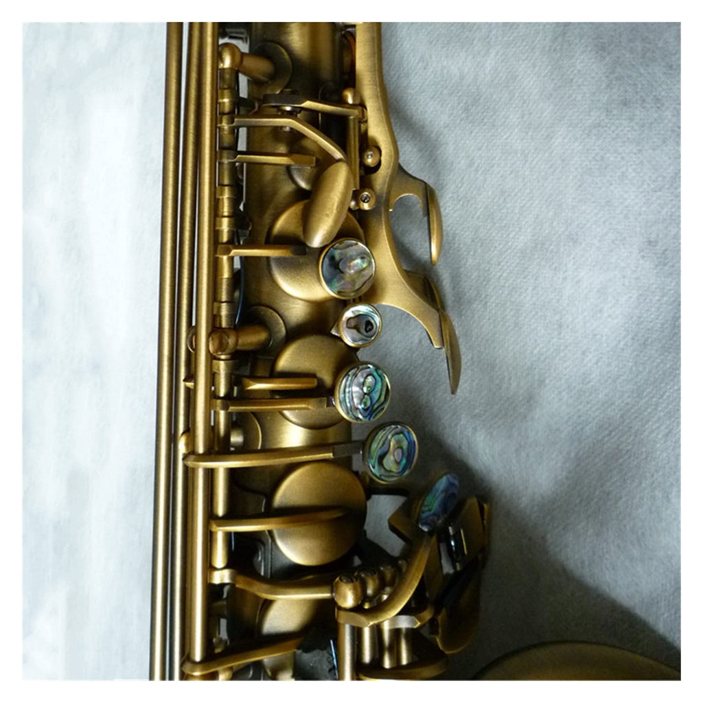 Alto Saxophone Set D7642