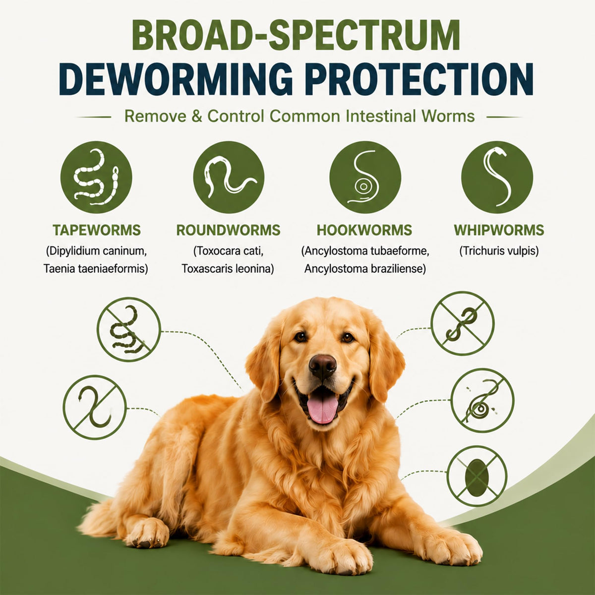 Dog Broad Spectrum Dewormer for Tapeworms, Hookworms and Roundworms A927437