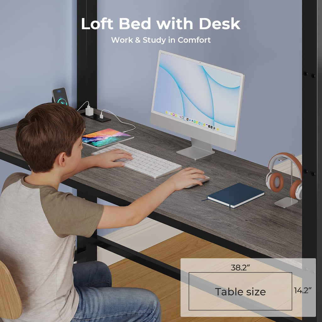Twin Loft Bed with Desk and Storage Drawers T242690