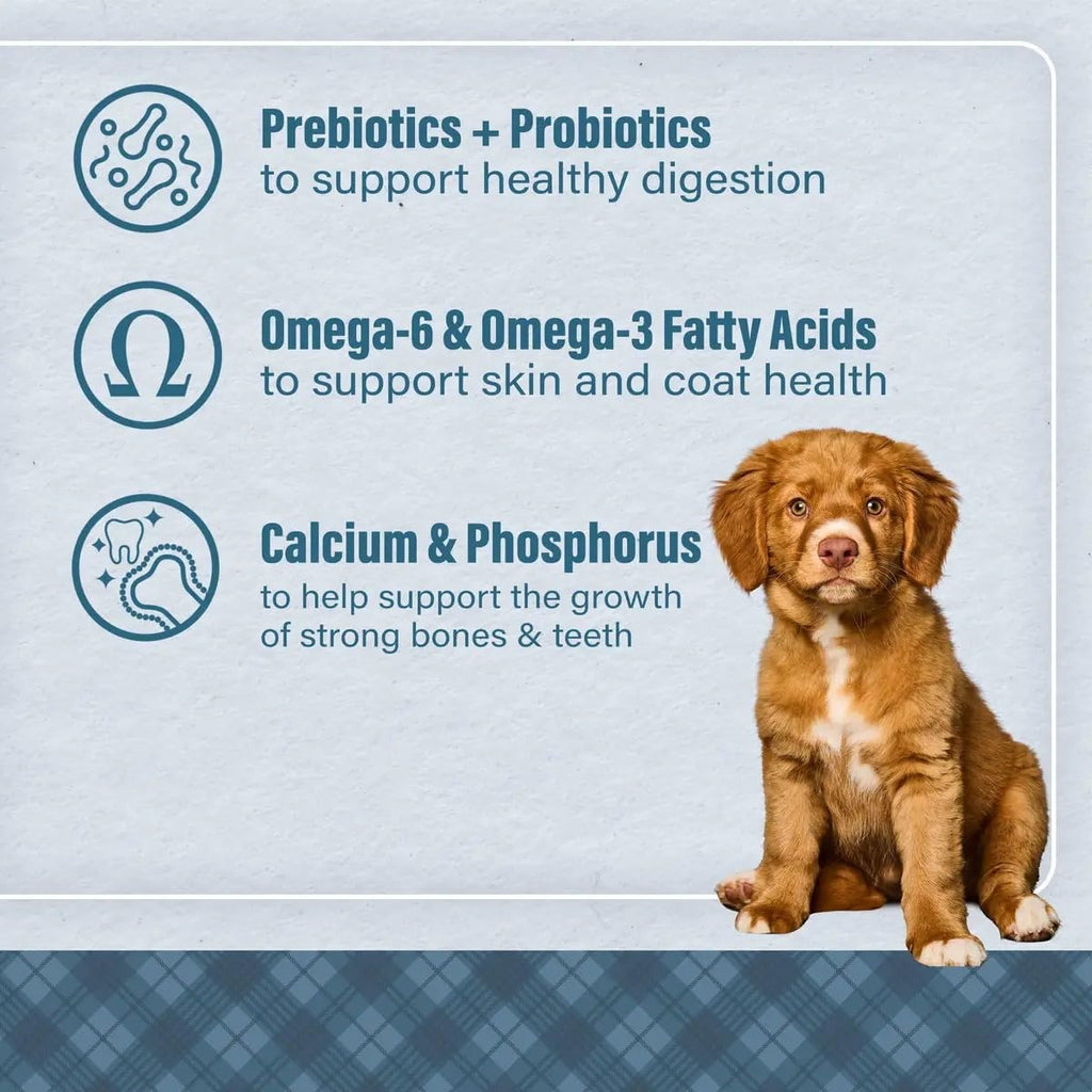 Chicken & Brown Rice Puppy Food 6 Pounds N164006