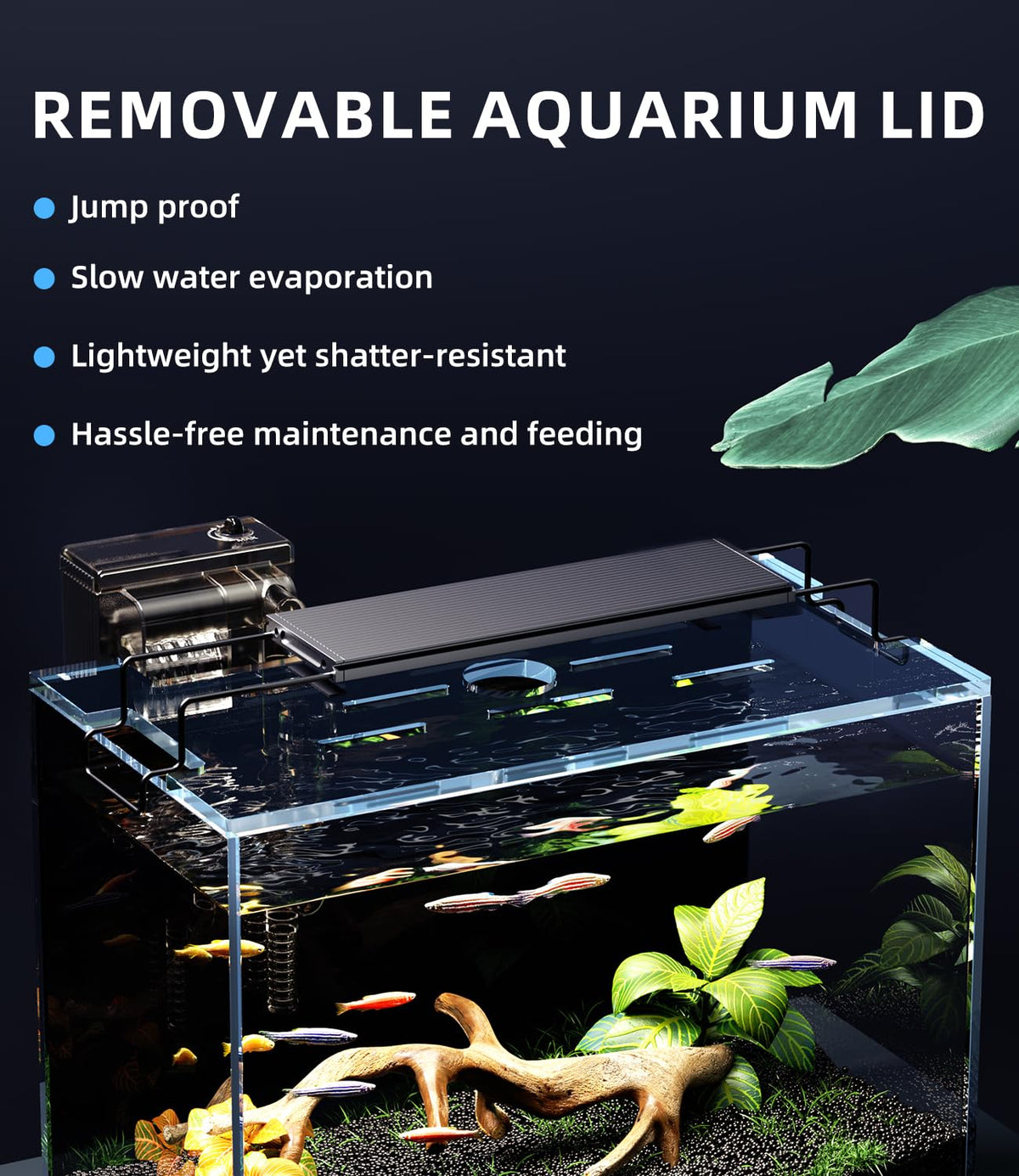 5 Gallon Rimless Glass Aquarium Starter Kit with Filter Light Lid V59705