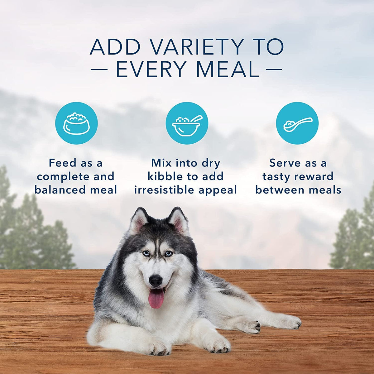High Protein Wet Food for Senior Dogs, Turkey & Chicken, 12.5-oz Cans, Pack of 24 W5790