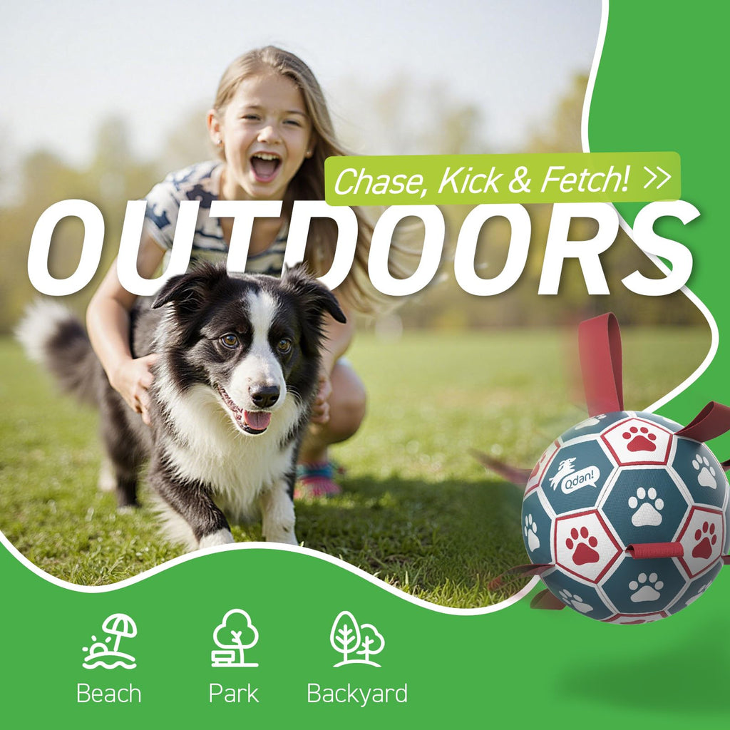 6 Inch Dog Soccer Ball with Straps Q636787