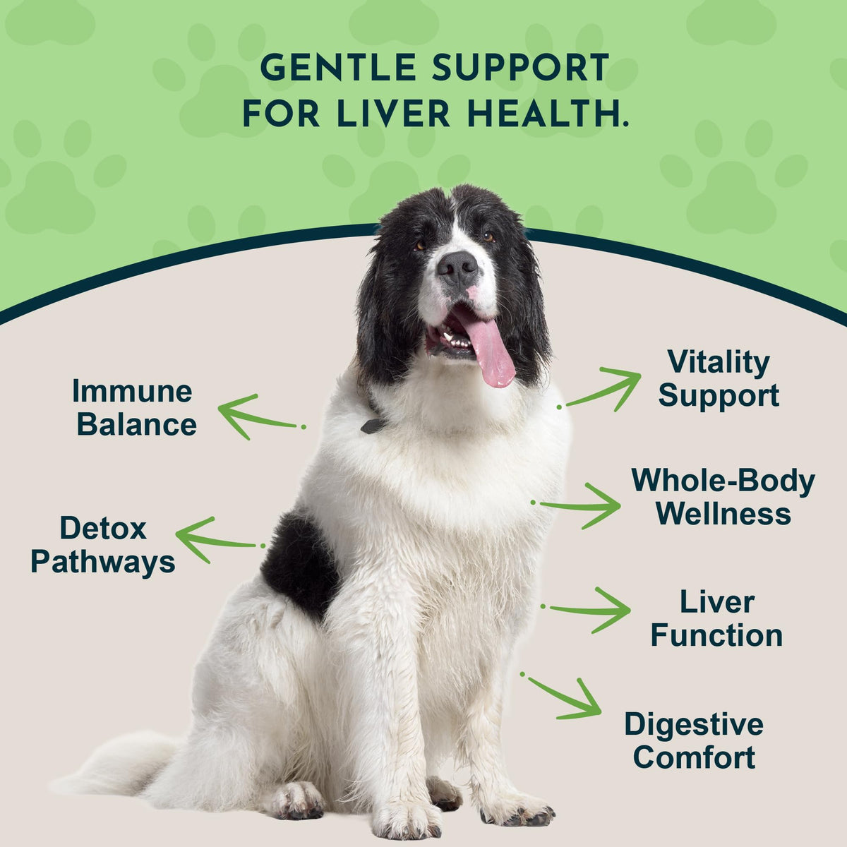 Liquid Liver Support Supplement for Dogs & Cats 2 Fl Oz J666
