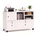 2 Drawer Mobile File Cabinet with Lock N22575