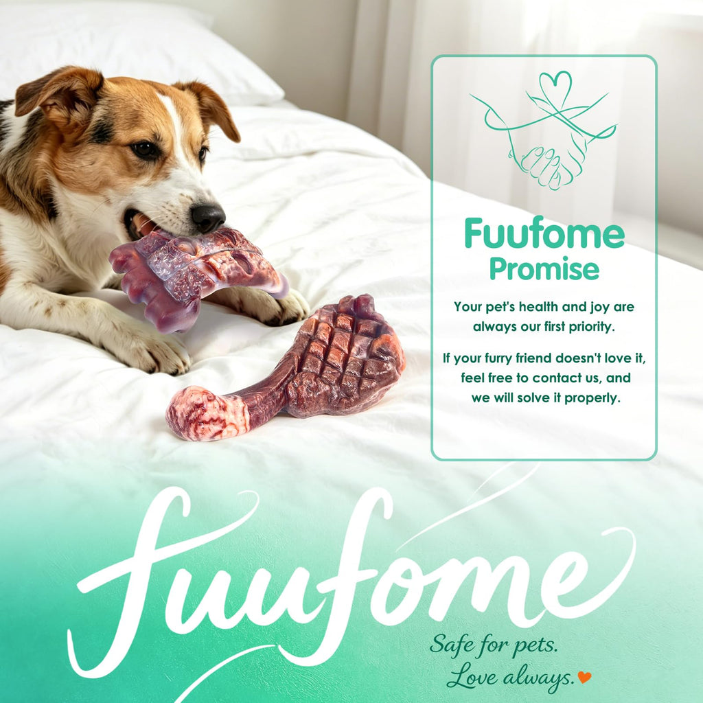 Tough Dog Chew Toys, 2 Pack Hard Nylon Bone H227