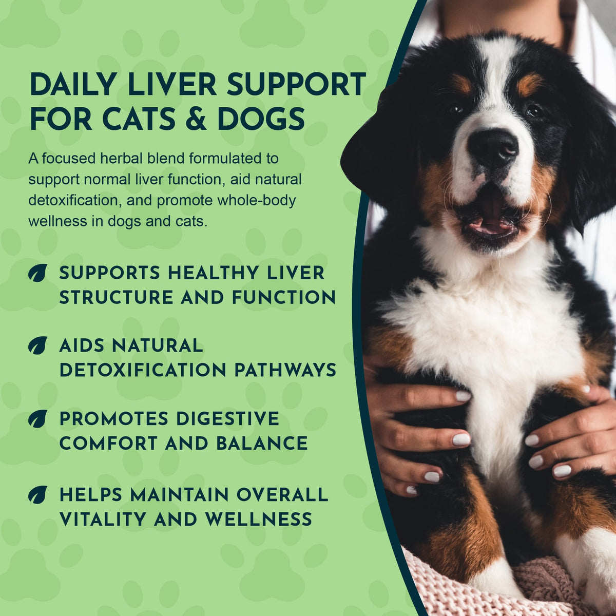 Liquid Liver Support Supplement for Dogs & Cats 2 Fl Oz J666