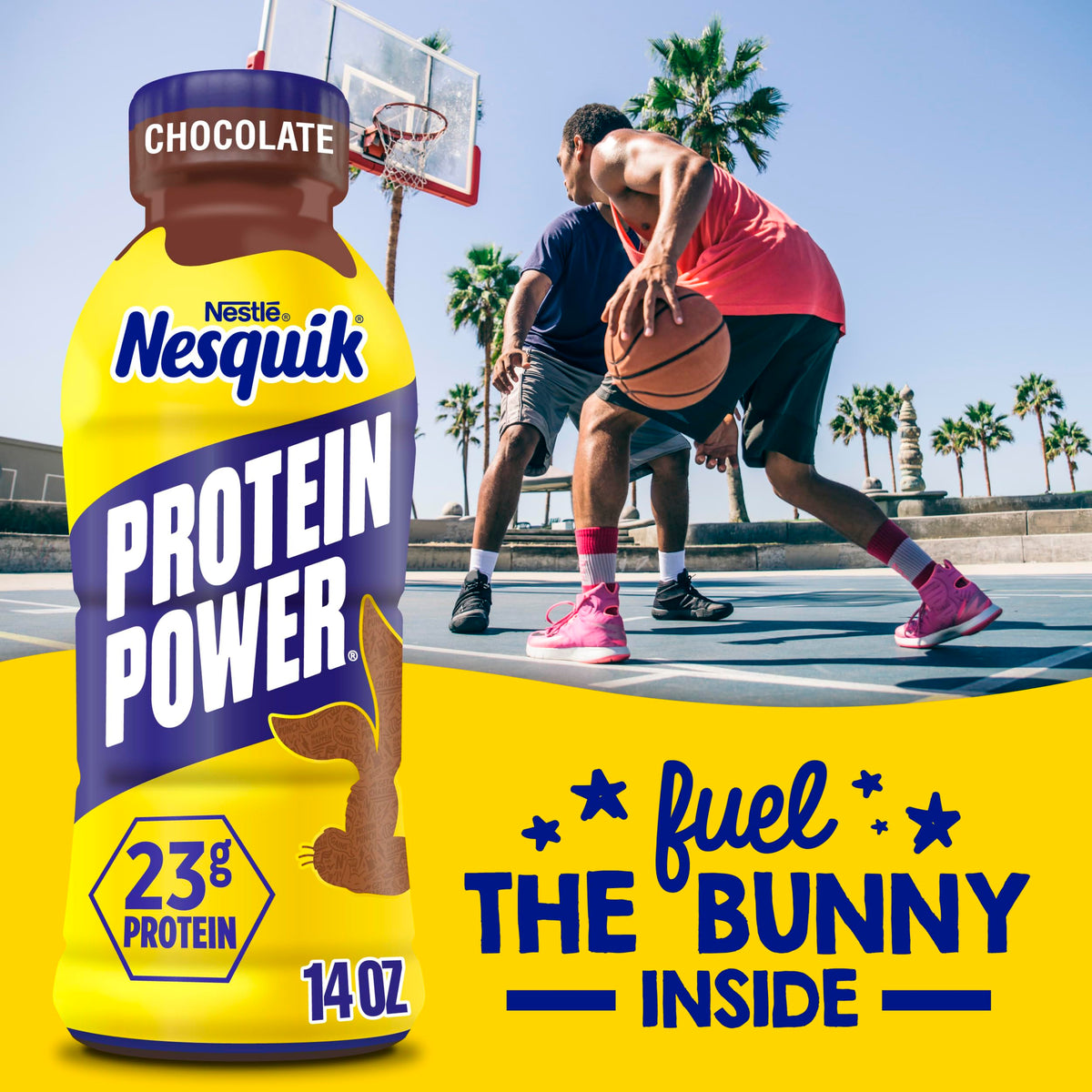 Chocolate Milk Drink 14 Fl Oz G309349