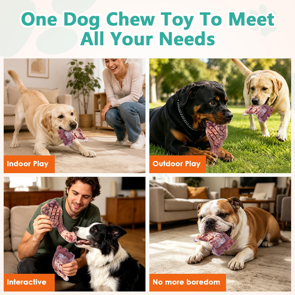 Tough Dog Chew Toys, 2 Pack Hard Nylon Bone H227