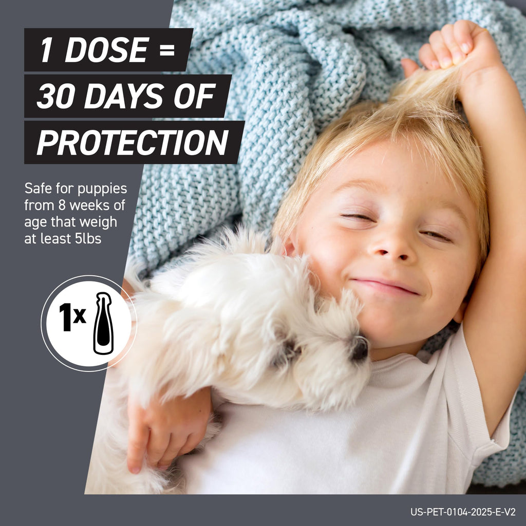 Flea & Tick Treatment for X-Small Dogs 5-10 lbs. Count of 3 P557835