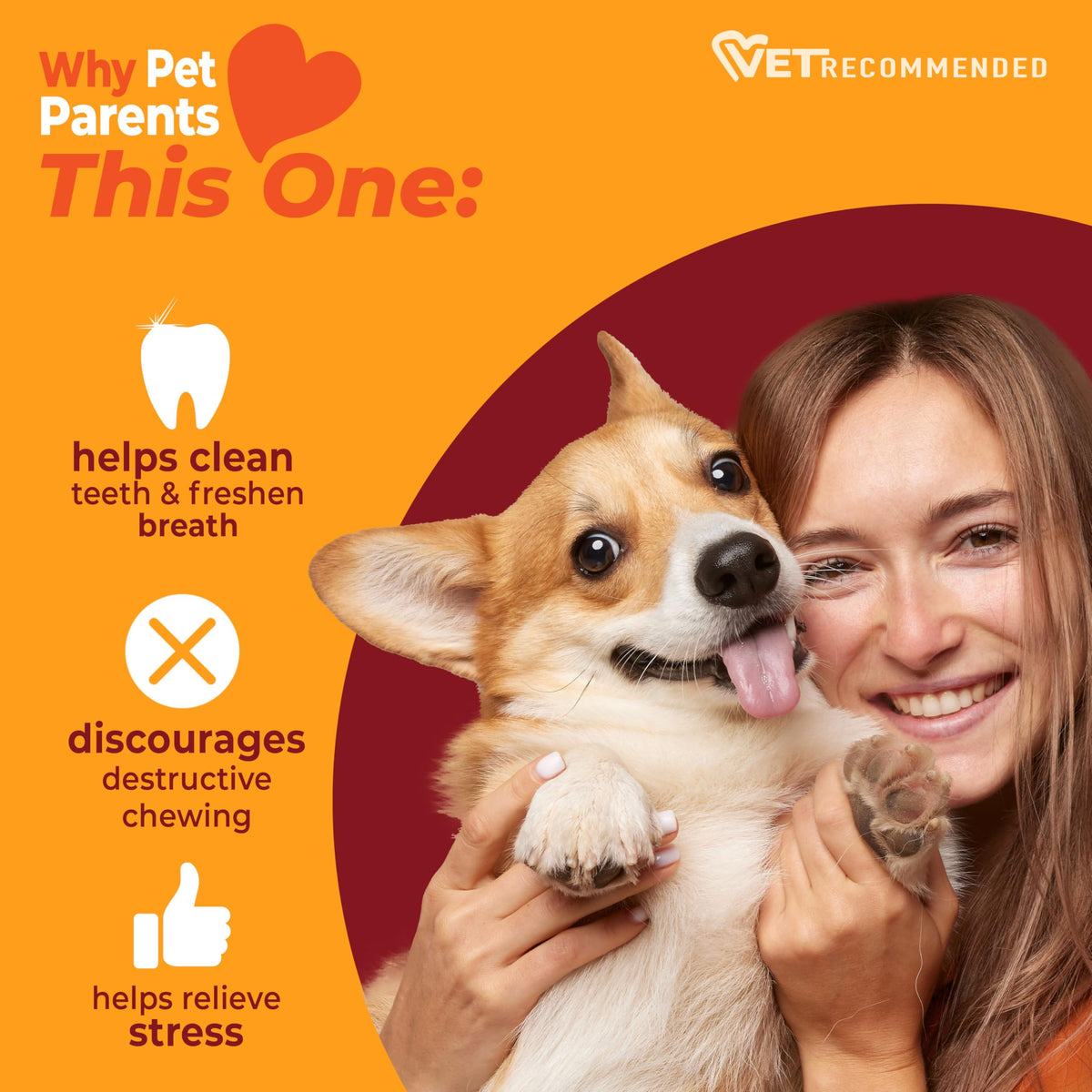Dog Chew Toy X871379