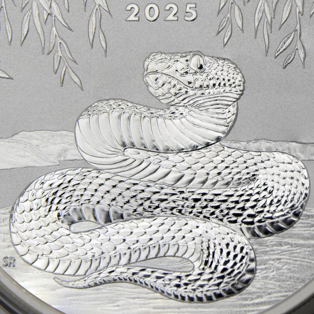 1 oz Silver Year of the Snake Coin Q563787