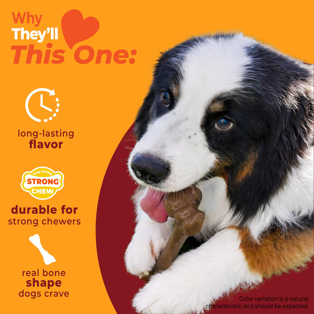 Dog Chew Toy X871379