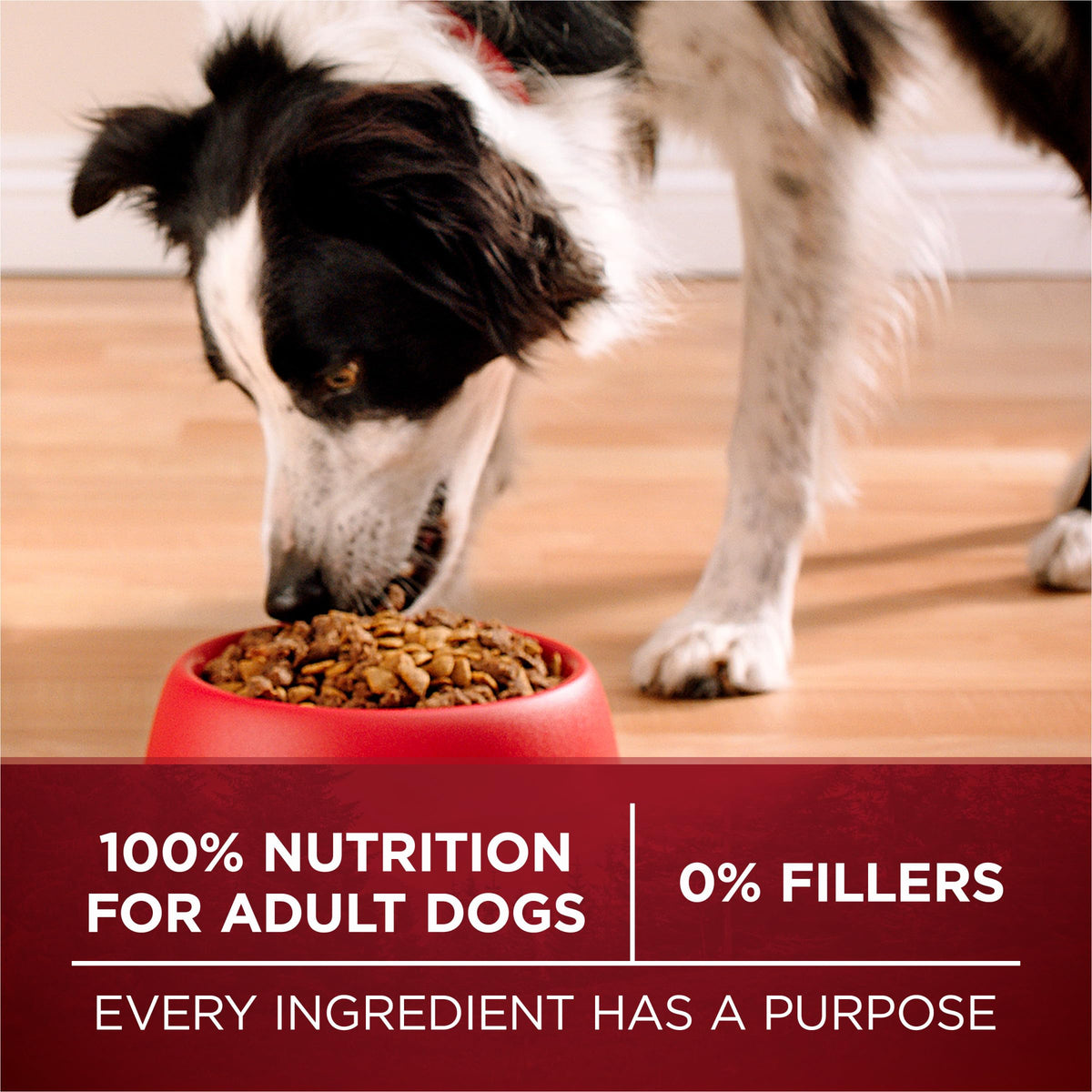 High Protein Chicken & Duck Dog Food X8006
