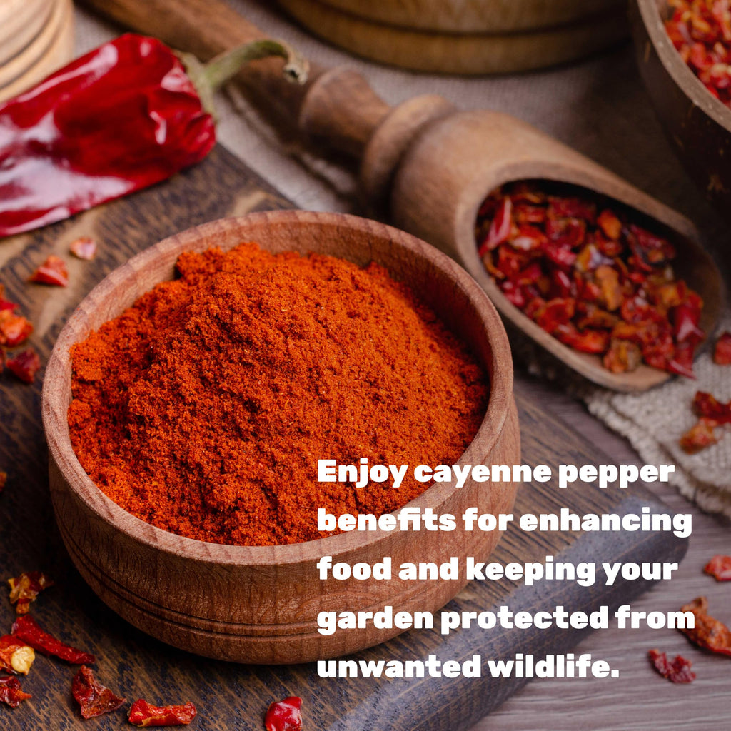 Ground Cayenne Pepper Powder, 5 Pounds V701